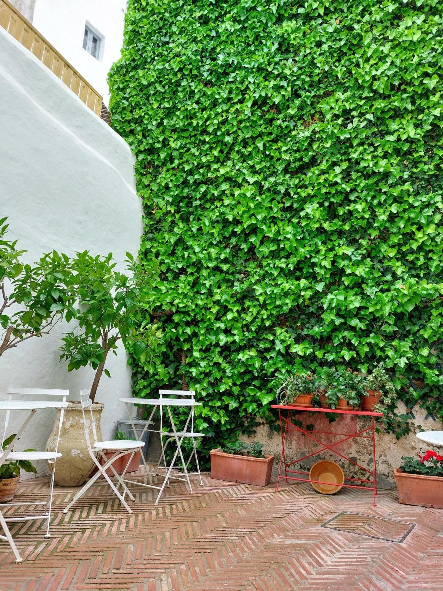 Casa Shelly Hospederia Hotel Vejer de la Frontera Luaran gambar