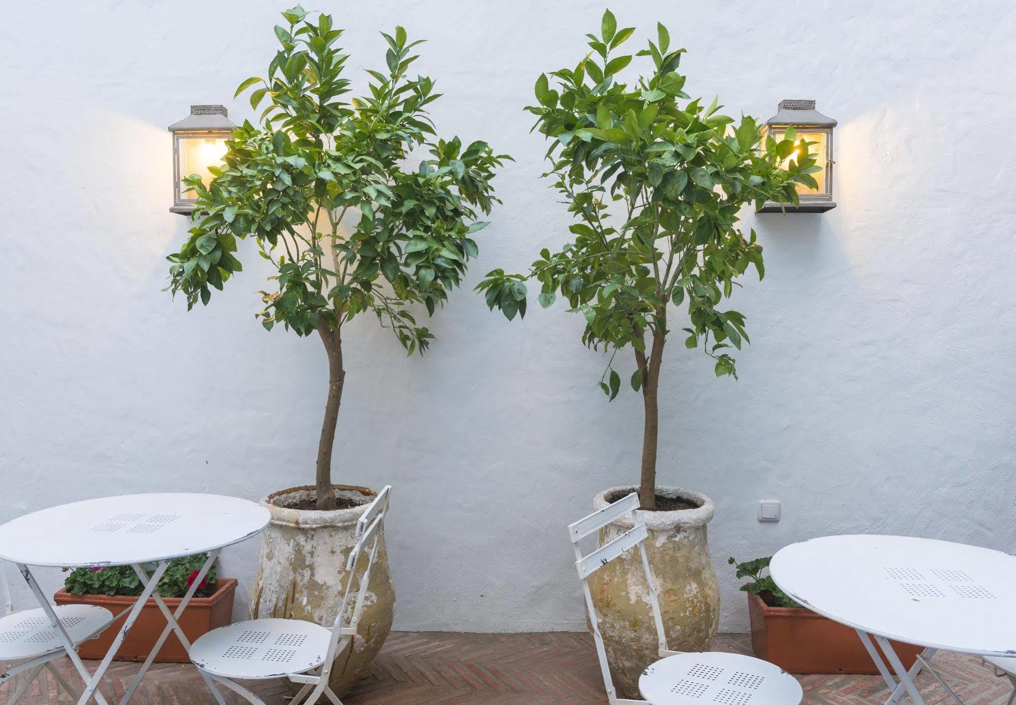 Casa Shelly Hospederia Hotel Vejer de la Frontera Luaran gambar